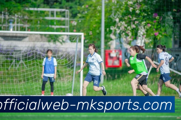 MK体育服务体系