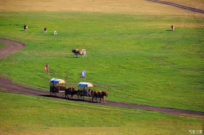  格勒诺布尔启用可移动草皮，极端天气保障比赛进行  